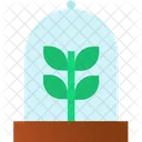 Plant Protection Growing Plant Plant Conservation Icon