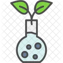 Plant Research  Icon