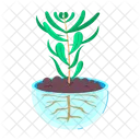 Herb Stickers Herbal Therapy Herbal Remedies Icon