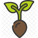 Plant Seed  Icon