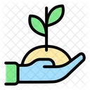 Plant Seed Seed Agriculture Icon