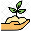 Plant seed  Icon