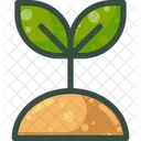 Plant Nature Sapling Icon