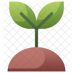 Plant Seeding  Icon