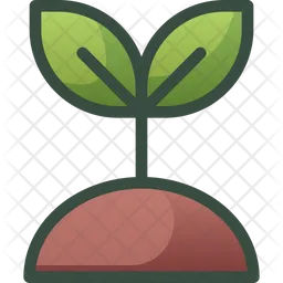 Plant Seeding  Icon