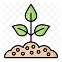 Plant Seeding  Icon