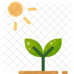 Plant Seeding Photosynthesis  Icon