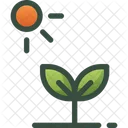 Plant Nature Sprout Icon
