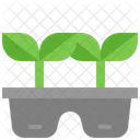 Plant Seedling Tray Icon
