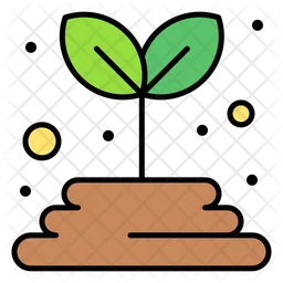 Plant Seeds  Icon