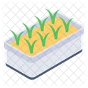 Ground Pot Growing Plant Plant Shoot Icon
