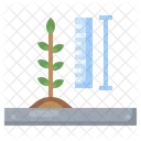 Plant Size  Icon