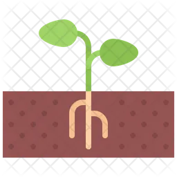 Plant Sprout  Icon