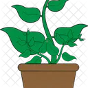 Plant  Icon