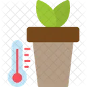 Plant temperature  Icon