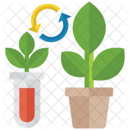 Plant Test  Icon