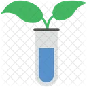 Plant Test Plantation Icon