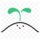 Plant Tree Ecology Icon