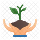 Plant Trees Green World Icon