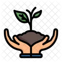 Plant Trees Green World Icon