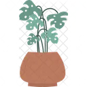 Plant Vase  Icon