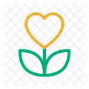 Heart Plant Flower Icon