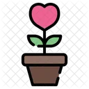 Plant With Love  Icon