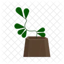 Planta Tropical Verde Icon