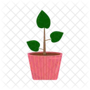 Planta Tropical Verde Icon