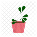 Planta Tropical Verde Icon