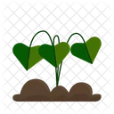 Planta Tropical Verde Icon