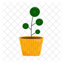 Planta Tropical Verde Icon