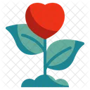 Planta Corazon Amor Icono