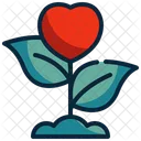 Planta Corazon Amor Icono