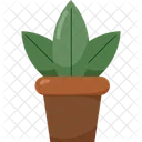 Planta  Icono