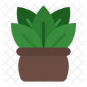 Plantar Icon