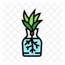 Plantar  Ícone
