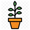 Planta  Icono