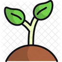 Planta Semilla Botanica Icono