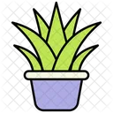 Plantar Icon