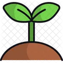 Planta Naturaleza Hojas Icono