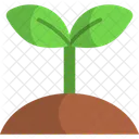 Planta  Icono