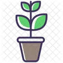 Planta  Icono