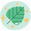 Planta  Icono