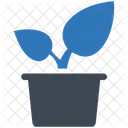 Planta De Autor Natural Planta Icono