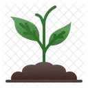 Planta Hoja Verde Icono