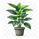 Planta Naturaleza Hoja Icono