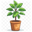 Planta Naturaleza Hoja Icono