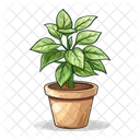 Planta Naturaleza Hoja Icono