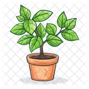 Planta Naturaleza Hoja Icono